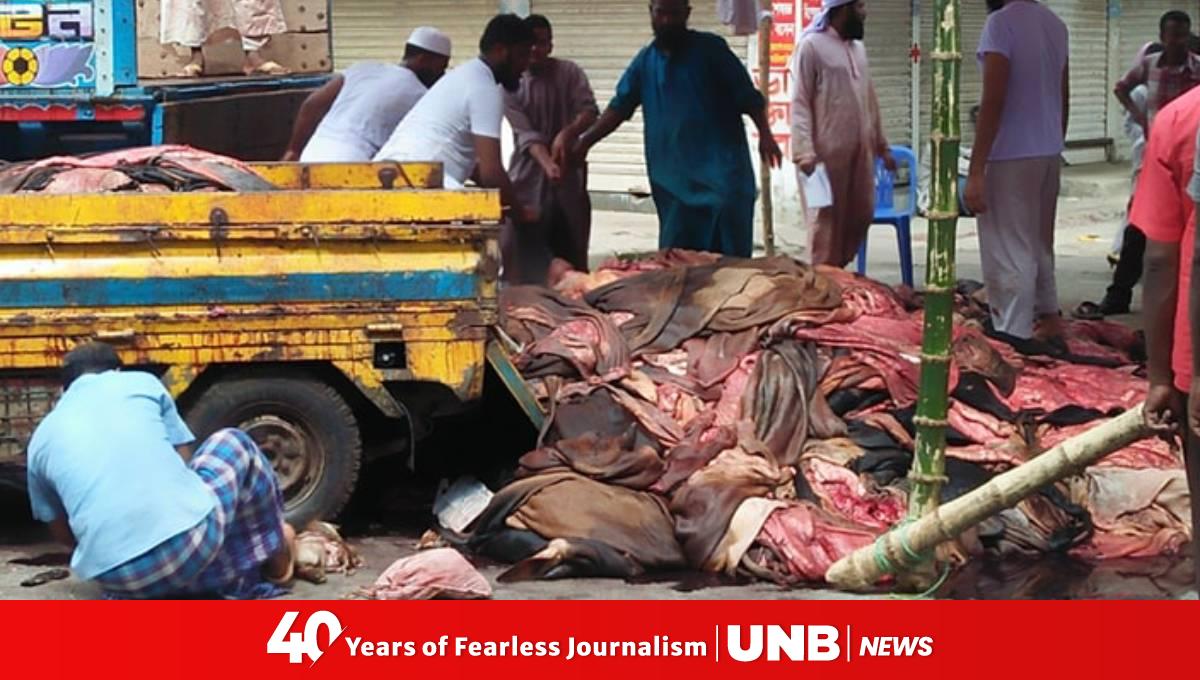 BGB on alert to prevent illegal rawhide export thru Hili land port