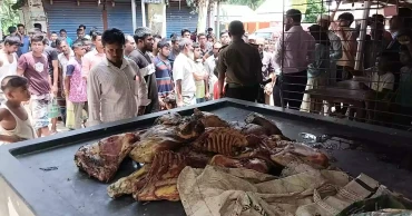 ফুলবাড়ীতে মরা গরু জবাই, কসাইকে পুলিশে দিল স্থানীয়রা