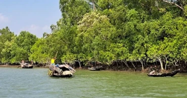 সুন্দরবনে ৩ মাসের জন্য প্রবেশে নিষেধাজ্ঞা