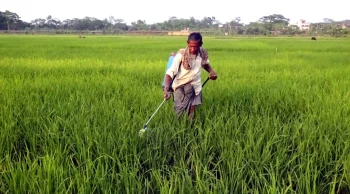 ঝালকাঠিতে জ্বালানি সংকটে ব্যাহত হচ্ছে কৃষিকাজ
