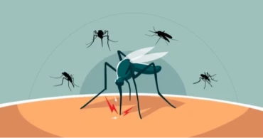 ডেঙ্গু আক্রান্ত হয়ে হাসপাতালে ভর্তি ৫৫২, মৃত্যু নেই