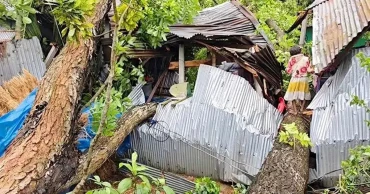 কালবৈশাখী ঝড়ে লণ্ডভণ্ড ঠাকুরগাঁওয়ের বিভিন্ন এলাকা