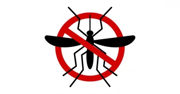 বাংলাদেশকে ডেঙ্গু প্রতিরোধী উপকরণ দিচ্ছে চীন