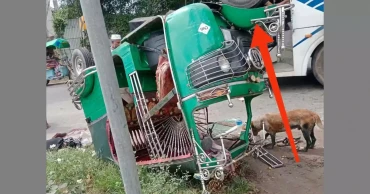 ময়মনসিংহে ট্রাকচাপায় অটোরিকশার ২ যাত্রী নিহত