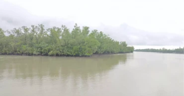 ৩ মাস বন্ধ থাকার পর ১ সেপ্টেম্বর থেকে উন্মুক্ত হচ্ছে সুন্দরবন