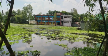 তিস্তায় পানি কমলেও দুর্ভোগ কমেনি স্থানীয়দের