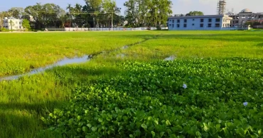 কুমারখালীর একমাত্র খেলার মাঠ এখন জলাভূমি, হারিয়ে যাচ্ছে খেলাধুলার পরিবেশ