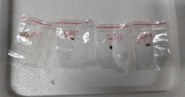 যুক্তরাষ্ট্রে বিষাক্ত ছত্রাক পাচারের অভিযোগে চীনা বিজ্ঞানীর বিরুদ্ধে মামলা