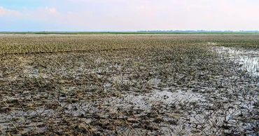 বন্যার পানি নামছে, জেগে উঠছে ক্ষত