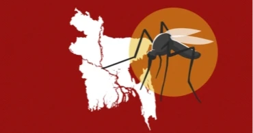 দেশে ২৪ ঘণ্টায় ডেঙ্গুতে আক্রান্ত ৮৩