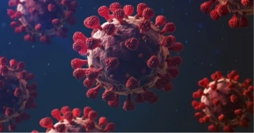 করোনায় সিলেট ও চট্টগ্রামে দুইজনের মৃত্যু, শনাক্ত ৭