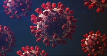 করোনায় আরও দুই মৃত্যু, শনাক্ত ১৮