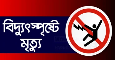 পাতা সংগ্রহের সময় বিদ্যুৎস্পৃষ্টে বৃদ্ধের মৃত্যু
