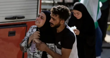 মোহাম্মদপুরে সেই বিড়াল হত্যার মামলায় আসামির ৬ মাসের কারাদণ্ড