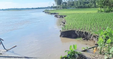 কমতে শুরু করেছে কুড়িগ্রামের নদীর পানি, ভাঙন আতঙ্কে মানুষ