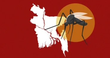 দেশে ডেঙ্গুতে আক্রান্ত আরও ৪৭, মৃত্যু নেই