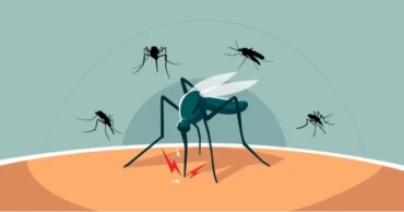 ডেঙ্গু: হাসপতালে ভর্তি ৩৬৭, মৃত্যু নেই