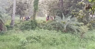 এবার চাঁপাই সীমান্তে পুশইনের চেষ্টা, বিজিবির বাধায় শূন্য রেখায় ২৮ জন