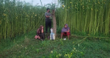 চুয়াডাঙ্গা সীমান্তে ৩ জনকে পুশইনের চেষ্টা, প্রতিহত করল বিজিবি