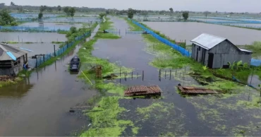 ভারী বর্ষণে ভেসে গেছে বিল ডাকাতিয়ার ৮২৫০টি মাছের ঘের, ১০০ কোটি টাকার ক্ষতি