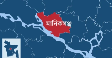 মানিকগঞ্জে আওয়ামী লীগ নেতার খামার থেকে গরু লুটের অভিযোগ
