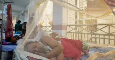 ডেঙ্গুতে ২৪ ঘণ্টায় ৮ মৃত্যু, হাসপাতালে ১,৮৬০