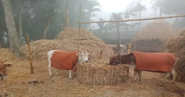 জবুথবু লালমনিরহাটের মানুষ