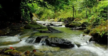 চট্টগ্রামে বিদ্যুৎস্পৃষ্ট হয়ে দুই পর্যটকের মৃত্যু