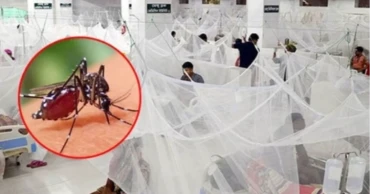 দেশে ডেঙ্গুতে আক্রান্ত আরও ২৯৪, সর্বোচ্চ বরিশালে