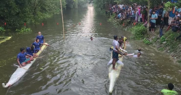 কলাগাছের ভেলাবাইচ দেখতে উপচে পড়া ভিড়