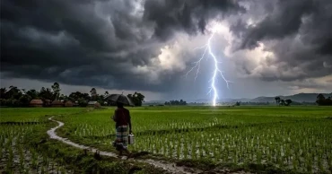 সুনামগঞ্জে বজ্রপাতে দুই কৃষক নিহত, হাওরে ধান কাটার সময় সতর্কতা জারি