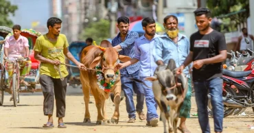 পশু কুরবানির পর ঘর ও আশপাশের পরিবেশ পরিষ্কার রাখবেন যেভাবে