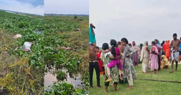 মুন্সীগঞ্জে জোয়ারের পানিতে ভেসে গেল শতাধিক গরু, ৩৬ মৃত গরু উদ্ধার