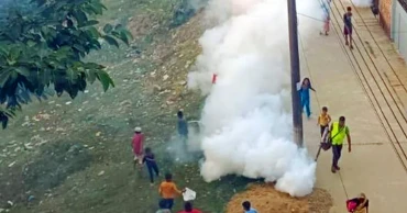 সিলেটে মশার উপদ্রব, নগরবাসীকে ‘পরিচ্ছন্ন’ থাকতে বলছে কর্তৃপক্ষ