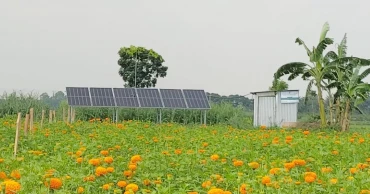 ঝিনাইদহের কৃষিতে আশা দেখাচ্ছে সৌরসেচ