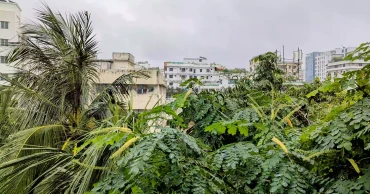 ঢাকার বায়ুদূষণে আজ বৃষ্টির প্রভাব