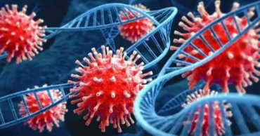 ২৪ ঘণ্টায় দুজনের করোনা শনাক্ত