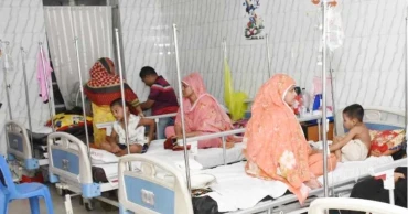 ডেঙ্গুতে দেশে আরও ১১৫ জন আক্রান্ত