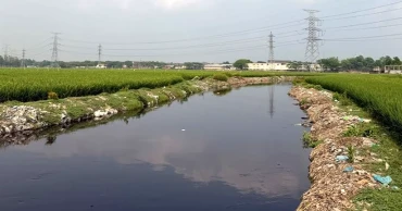 দখলে-দূষণে নিখোঁজ লবণদহ নদ