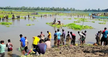 বুড়ির বাঁধে মাছ শিকার উৎসবে মানুষের ঢল