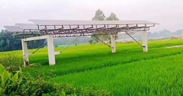 রংপুরের কৃষিতে সৌর বিপ্লব, মৌসুমে সাশ্রয় ৭৫ লাখ লিটার ডিজেল