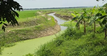 মান্দায় খাল পুনঃখনন প্রকল্পের শ্রমিক মজুরির ৫০ লাখ টাকা নিয়ে প্রশ্ন
