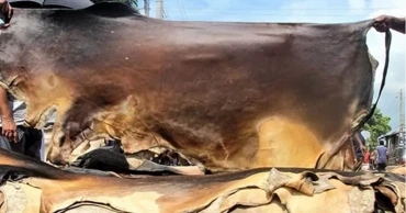 সিলেট বিভাগে ২০৯৩৪৫ কোরবানির পশুর চামড়া সংরক্ষণ