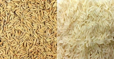 যশোরে ৬২ রাইস মিলের লাইসেন্স বাতিল