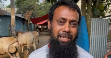 ফেনীতে অস্ত্রের মুখে ব্যবসায়ীর গরু ছিনতাই