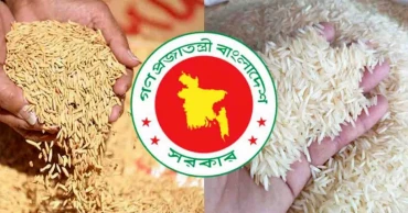১৮ লাখ টন ধান ও চাল কিনবে সরকার, মূল্য নির্ধারণ