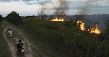 বনে আগুন লাগানোর অভিযোগে ইন্দোনেশিয়ায় গ্রেপ্তার ৪৪