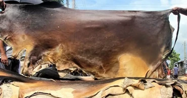 খুলনা বিভাগে ৩ লাখ ২৬ হাজার ৭৯৪টি কোরবানির চামড়া সংরক্ষণ