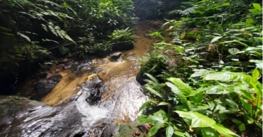 লাঠিটিলায় সংরক্ষিত বনে সাফারি পার্ক প্রকল্প বাতিলের সুপারিশ পরিবেশ মন্ত্রণালয়ের