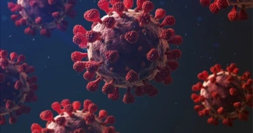 করোনা: সারাদেশে আরও ৫ জনের মৃত্যু, নতুন শনাক্ত ৩৬